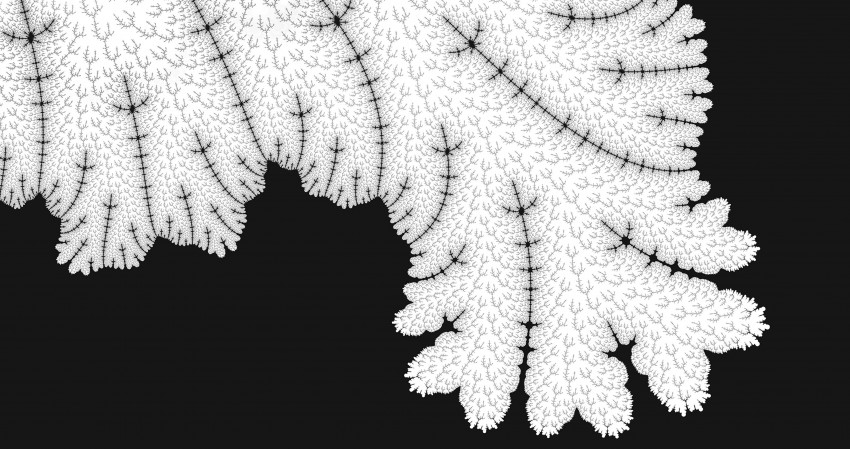 4K Whiten Leaf Tree Pattern Wallpaper