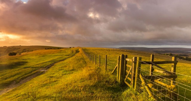 England Nature Grass 4K Wallpaper