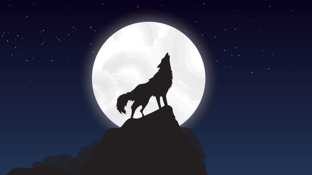 Wolf Howling At The Moon 8K Wallpaper