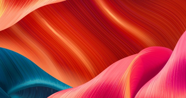 Blooming Orange Desert HD Wallpaper