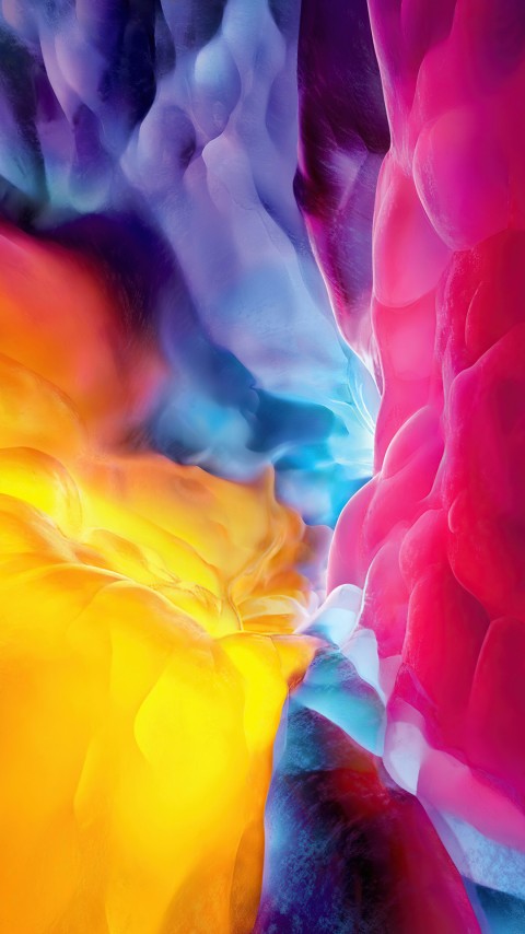 Blooming Indian Flower Wallpaper For Phone