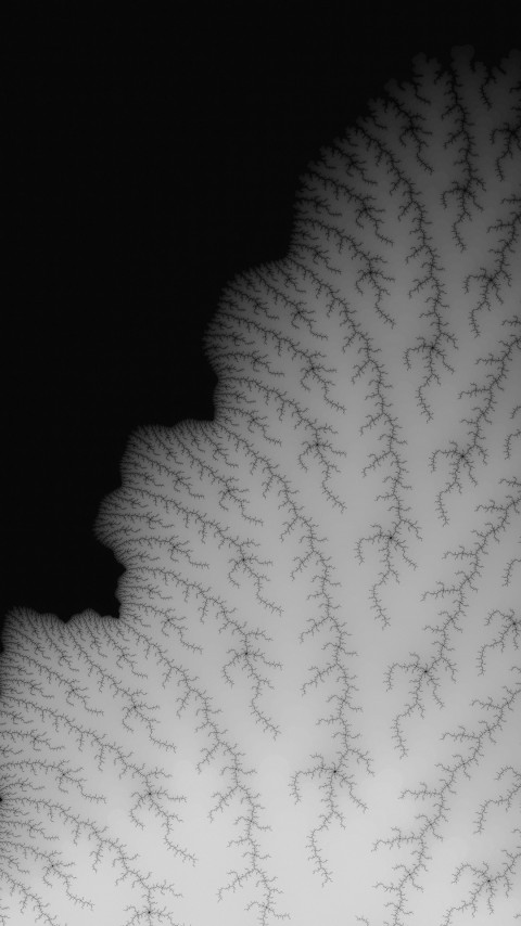 Download Whiten Tree Leaf Pattern Wallpaper For Mobile